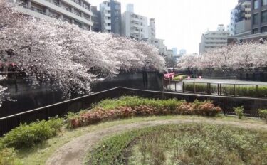 平成２９年度中学校入学式・始業式