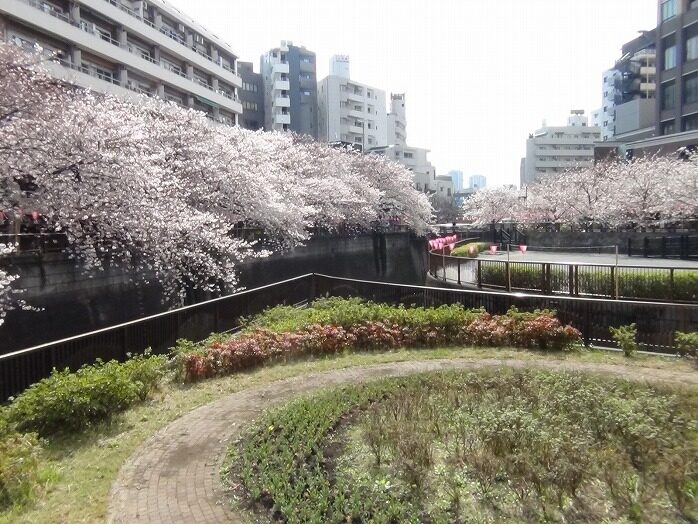 平成２９年度中学校入学式・始業式