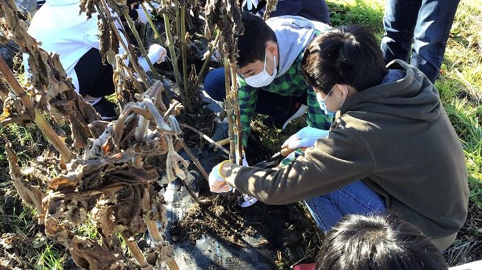 校外宿泊研修の様子