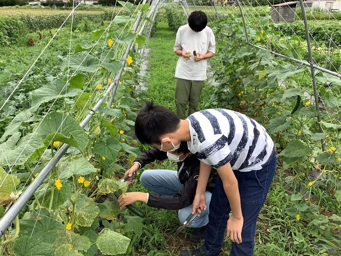 夏真っ盛り 学びと親睦と思い出と