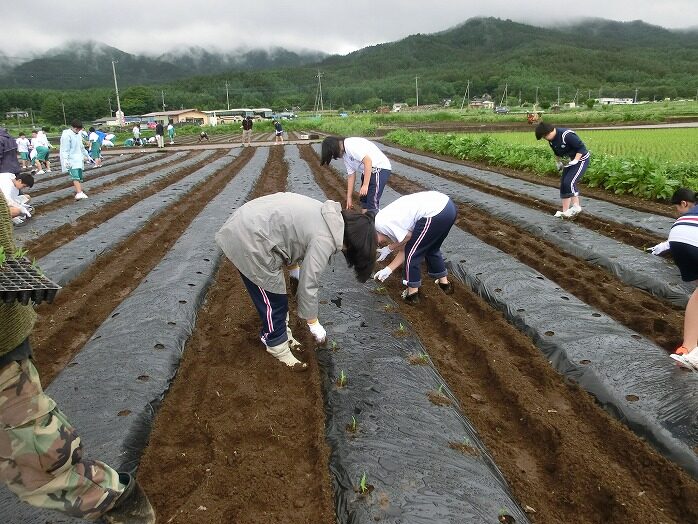 森づくりと木工作業体験