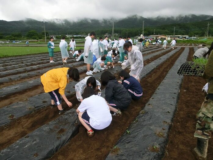 森づくりと木工作業体験