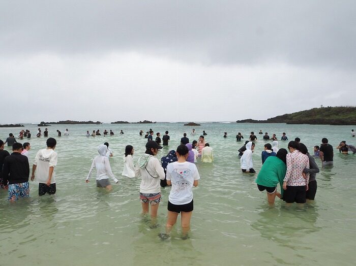 修学旅行の様子