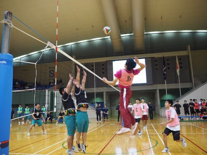 スポーツフェスティバルの様子