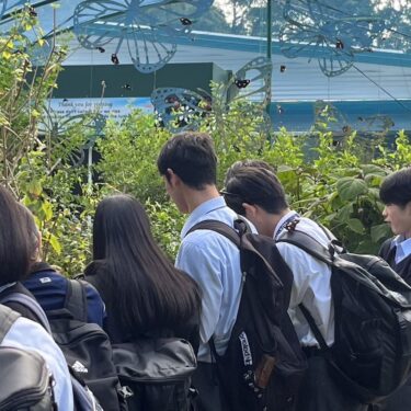 2023語学研修0805-46