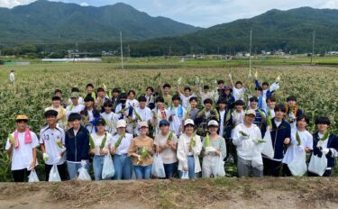 キャリアゼミ「トウモロコシ収穫体験ボランティア」