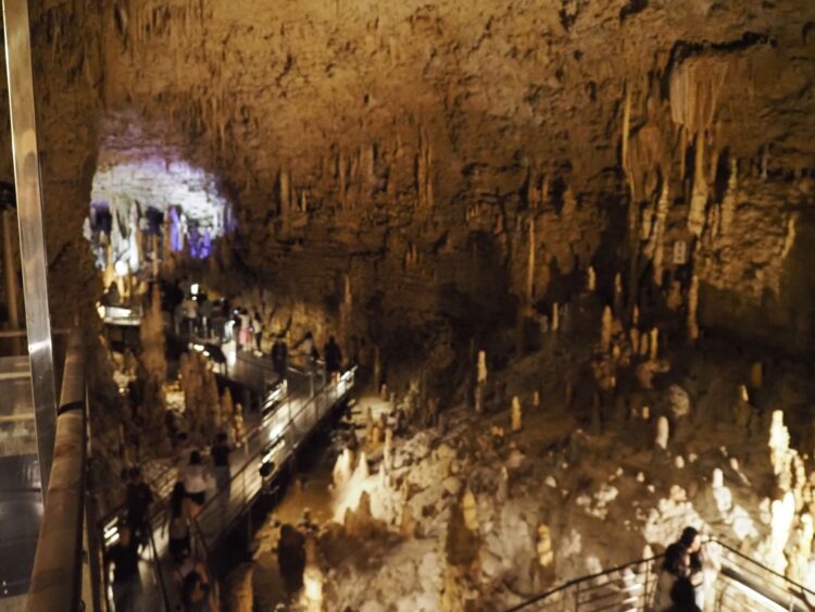 2026修学旅行22