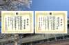 h_sports_award_1